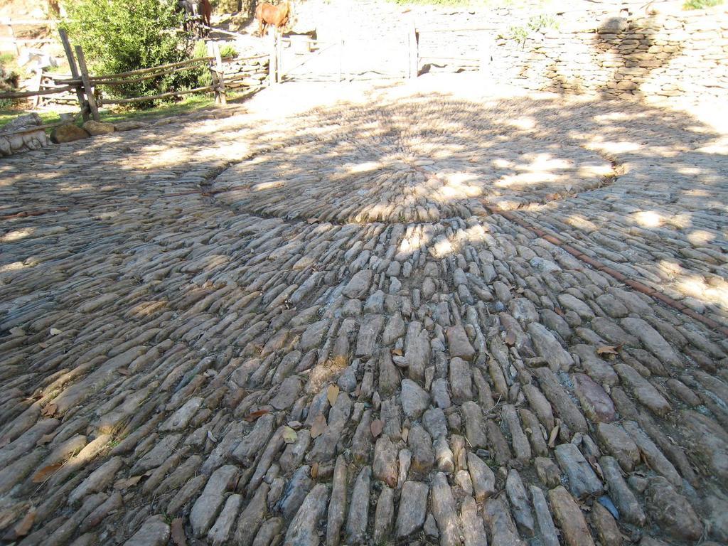 Centro Trekking A Cavallo Monte Brugiana Guest House Massa  Bagian luar foto