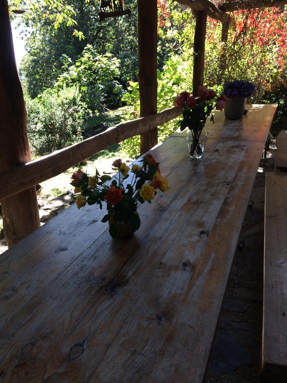 Centro Trekking A Cavallo Monte Brugiana Guest House Massa  Bagian luar foto