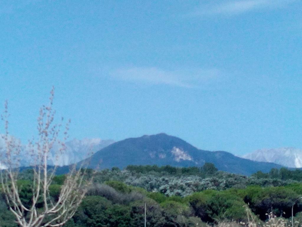 Centro Trekking A Cavallo Monte Brugiana Guest House Massa  Bagian luar foto