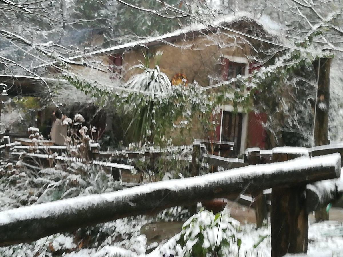 Centro Trekking A Cavallo Monte Brugiana Guest House Massa  Bagian luar foto
